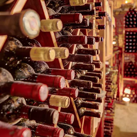 Martineli - A Beachfront Estate 빌라 드리오스